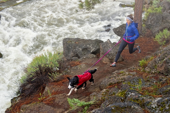 Ruffwear hotsell roamer leash